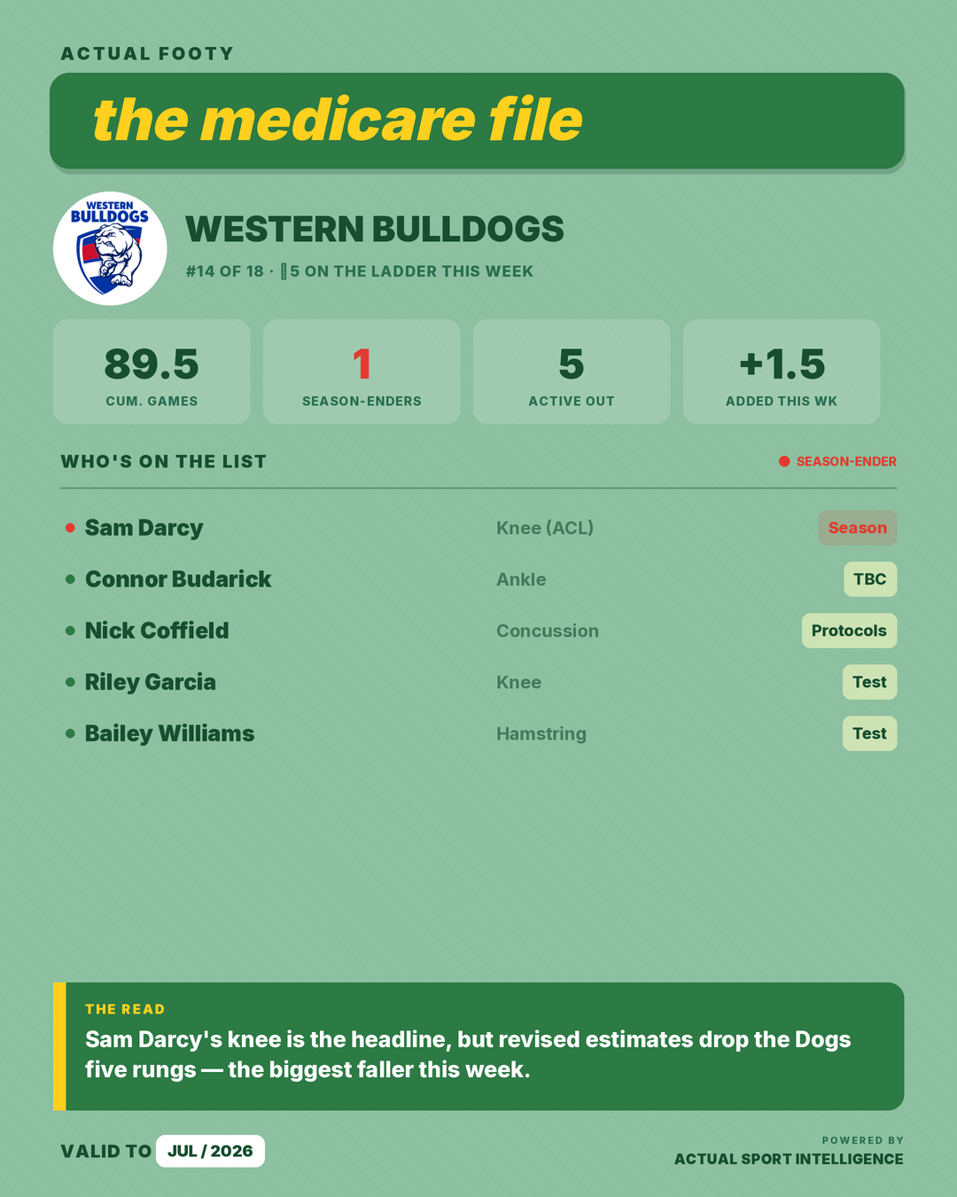 The Injury Ladder graphic