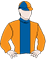 CASTLEJOHN silks