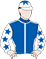 Copartner Pegasus silks