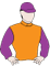 Desarae Doll silks