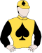 Five Star King silks