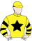 Had It All silks