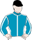 Hamner Springs silks