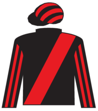 Hopeful Cause silks