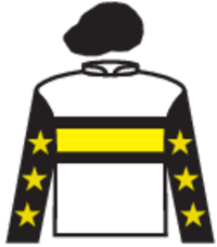 I Say I Say silks