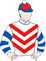 Kyogle Kid silks