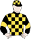 Livalittle silks