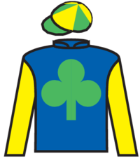 Move She Can silks