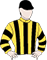 Mr Democrat silks