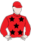 Risk Assessment silks