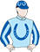 Roguery silks