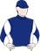 Sapphire Siren silks
