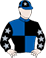 Show Me The Stars silks