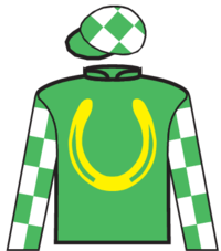 Simply Better silks