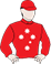 Snow Mercy silks