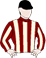 Suit Of Wands silks