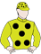 The Jester’S Son silks