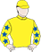 The Squire silks
